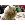 ������� � ��������