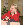 ������� � ��������