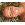 ������� � ��������