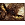 ������� � ��������
